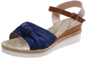 Cathalem Summer Sandals for Women 2024 Platform Open Toe Ankle Strap Sandals Zipper Beach Sandals Dress Shoes